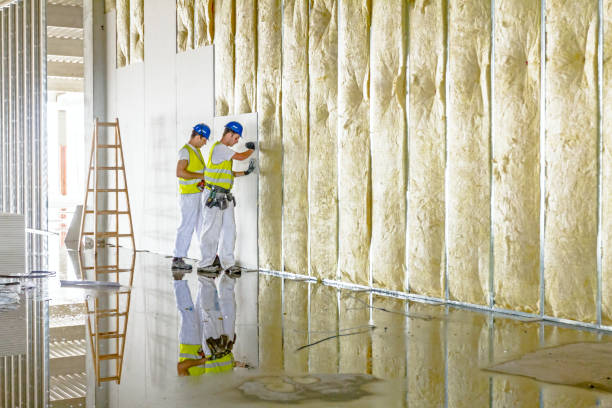 Best Insulation Installation Services in Eagle Lake, FL